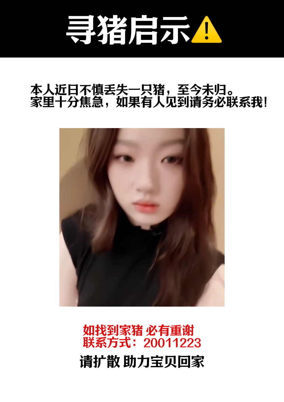 寻猪启示🐽，请问有人看见我家小猪了吗，助力宝贝回家！ 