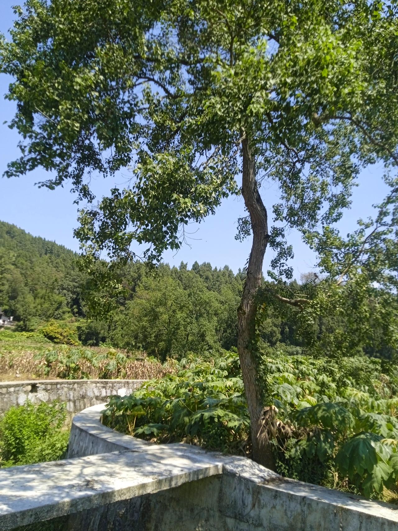 “跑与不跑衣服都是要湿的，还不如慢慢走，结局已定，过程随意。”
看得开还是看不开