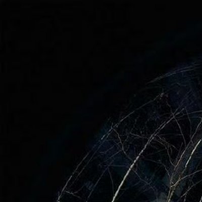 赵雨凡JAMES 🦅每日一善 每一个人都可以成为生活中的阳光。用我们的微笑、用