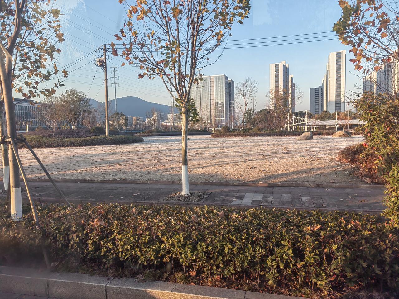 今年第一次看到这么白的霜（浙江省人民医院富阳院区北）