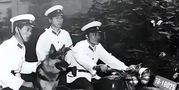 1985 年河北深夜乡间，32 岁女工被拖入树林性侵，绝境中她一口咬断歹徒舌头，