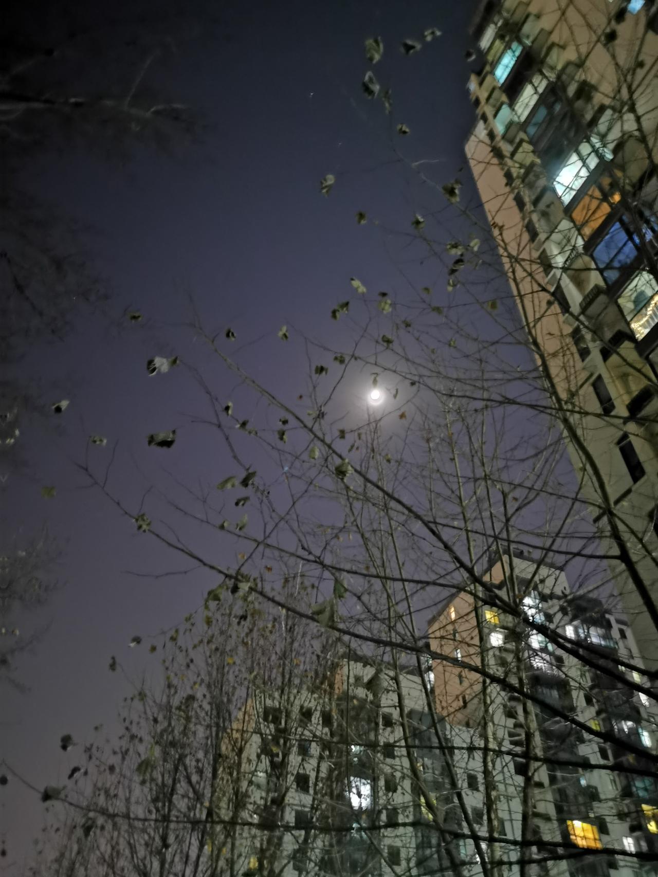 今天的北京虽然阳光灿烂，但是，寒风刺骨。早上我骑着电动车去送孩子上学，不但风很大