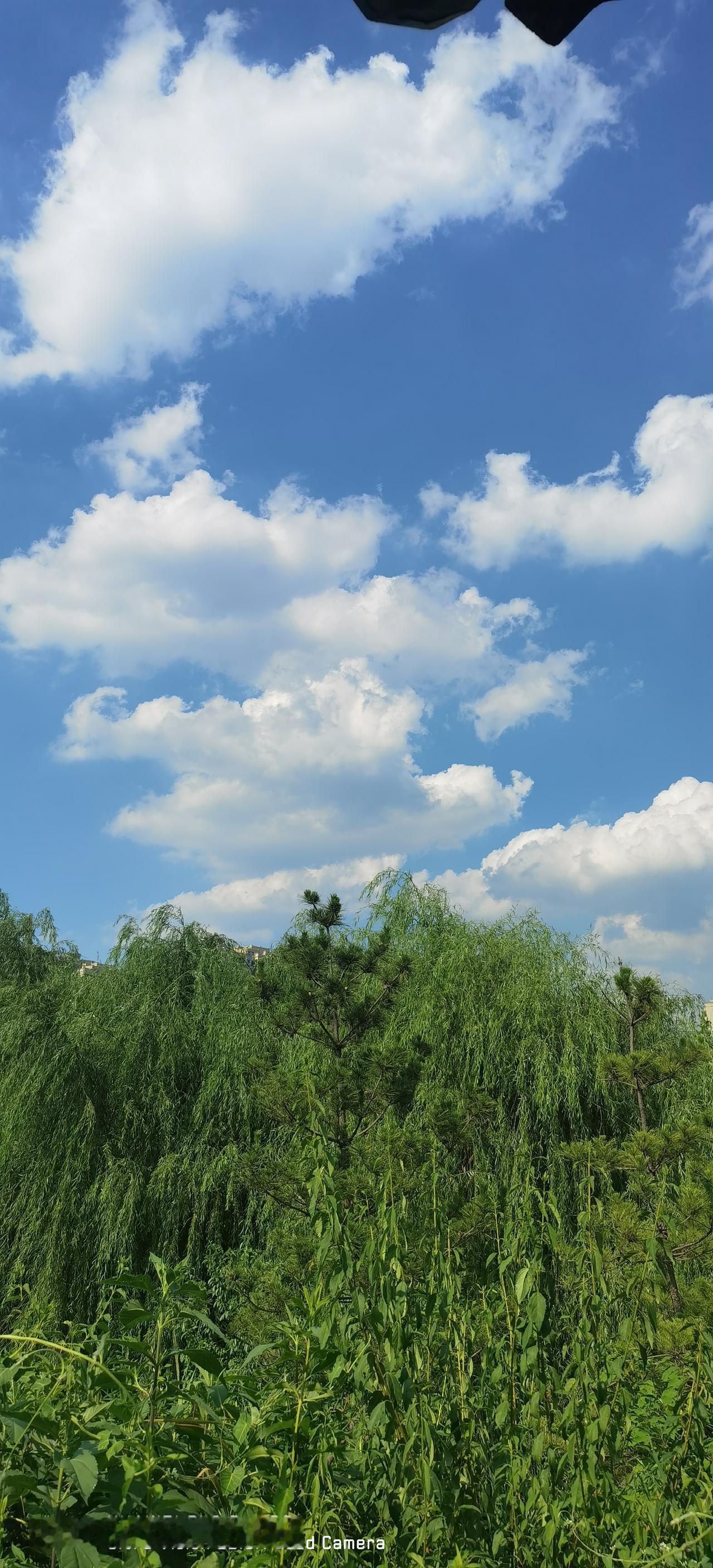 北京人集体蹲大雨，这戏码可真够足的了，这可让气象台的同志们还怎么好意思居家办公！