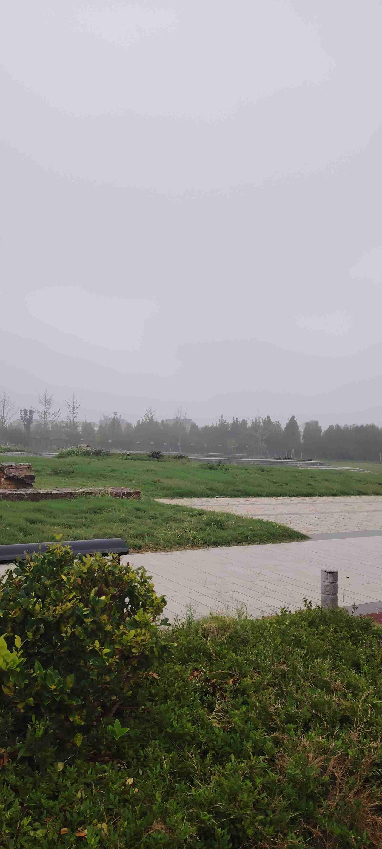 我的今日状态：🥲强颜欢笑
我这里的天气：🌤️多云
今天雨不雨，阴不阴的，小雨