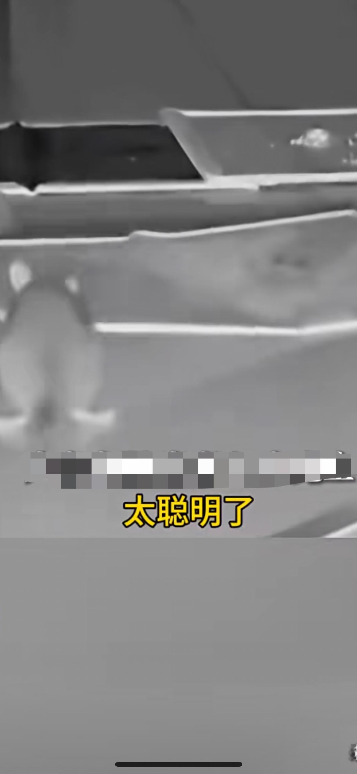 近日安徽马鞍山，男子家里布满粘鼠板，仍捉鼠失败，查监控发现，老鼠挪走粘板从侧边溜