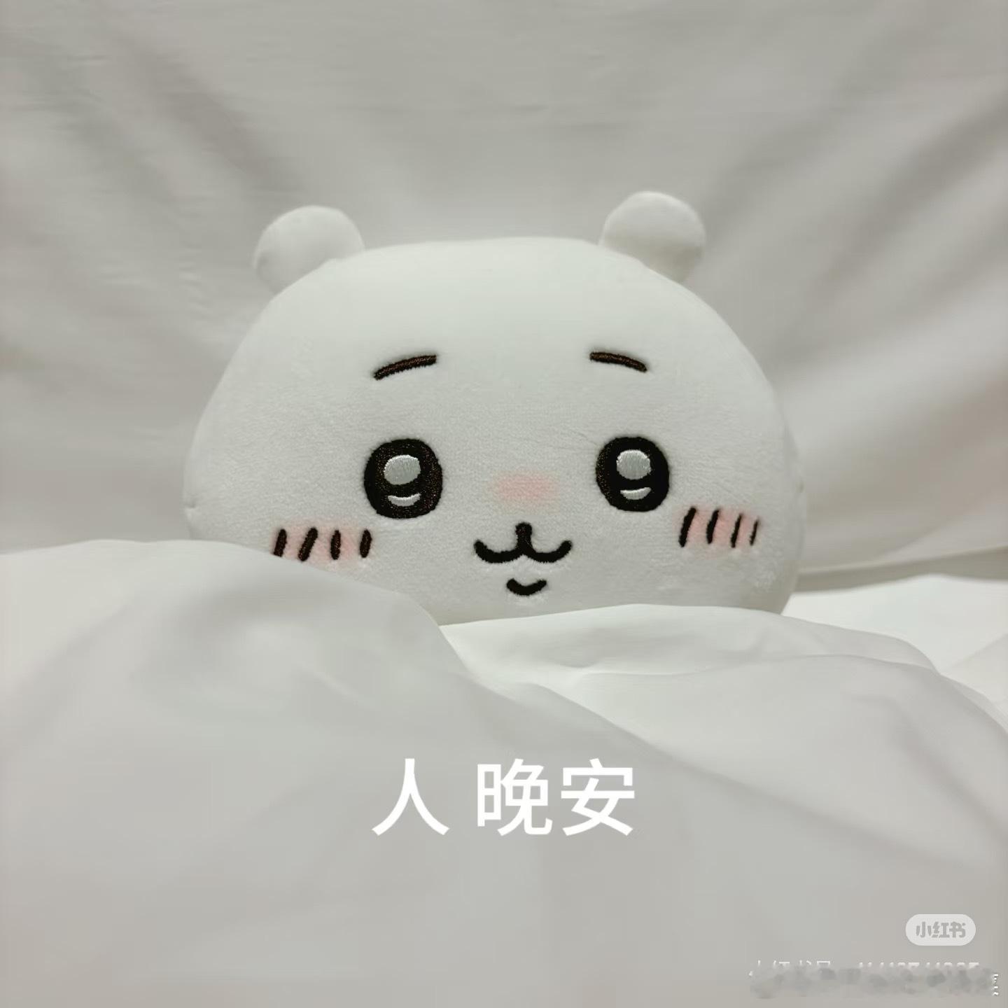 💤 ​​​