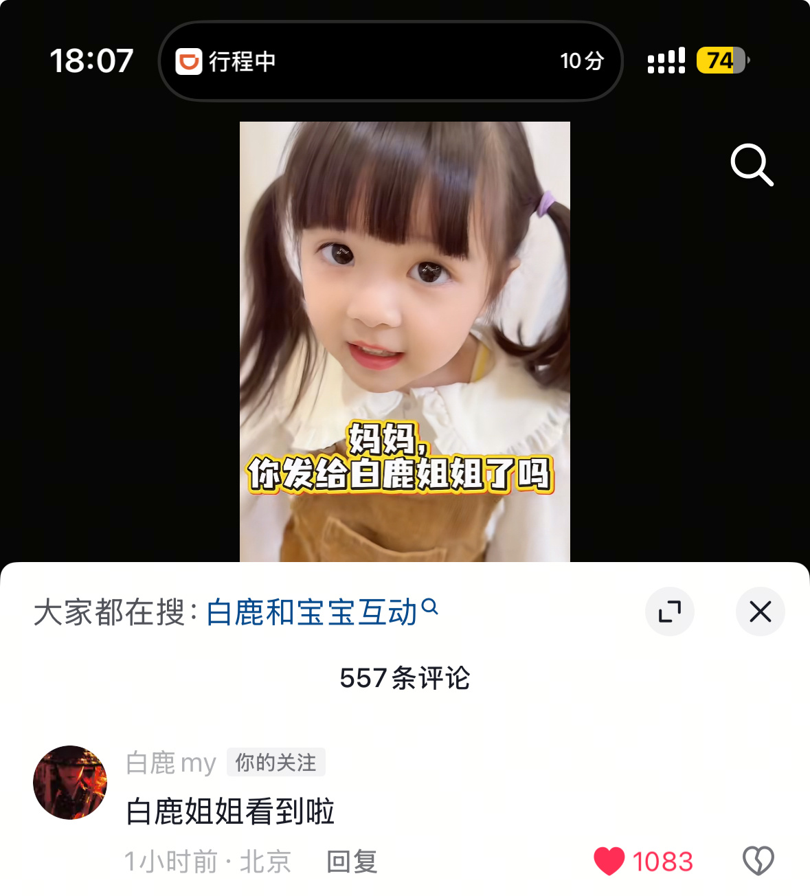 白鹿姐姐  等我小了我也要让你来看我🥹“白鹿姐姐看到啦”这个鹿儿真的很温柔呜呜