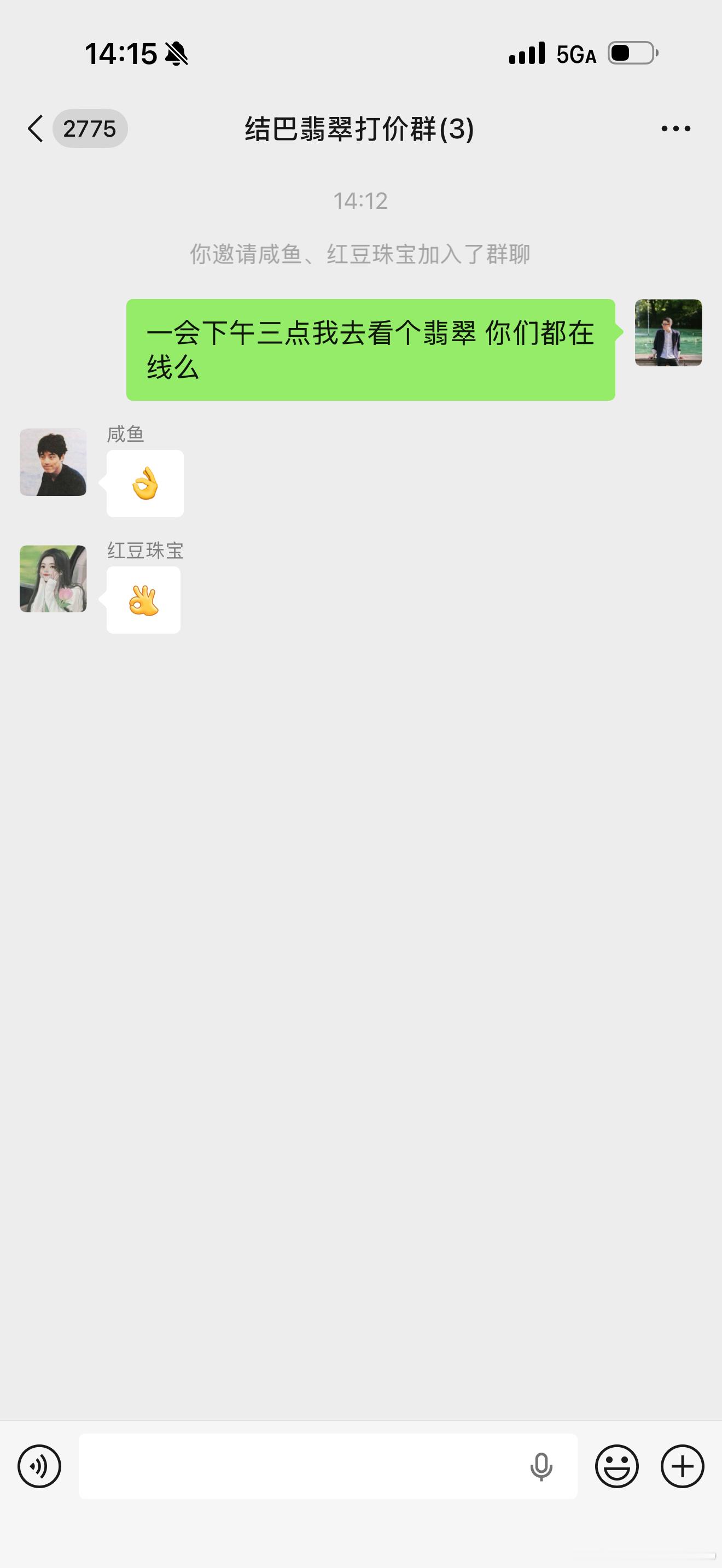 拉了三个卖翡翠的，建了一个专门给翡翠打价格的群。一会下午去看货，我直接开群聊视频