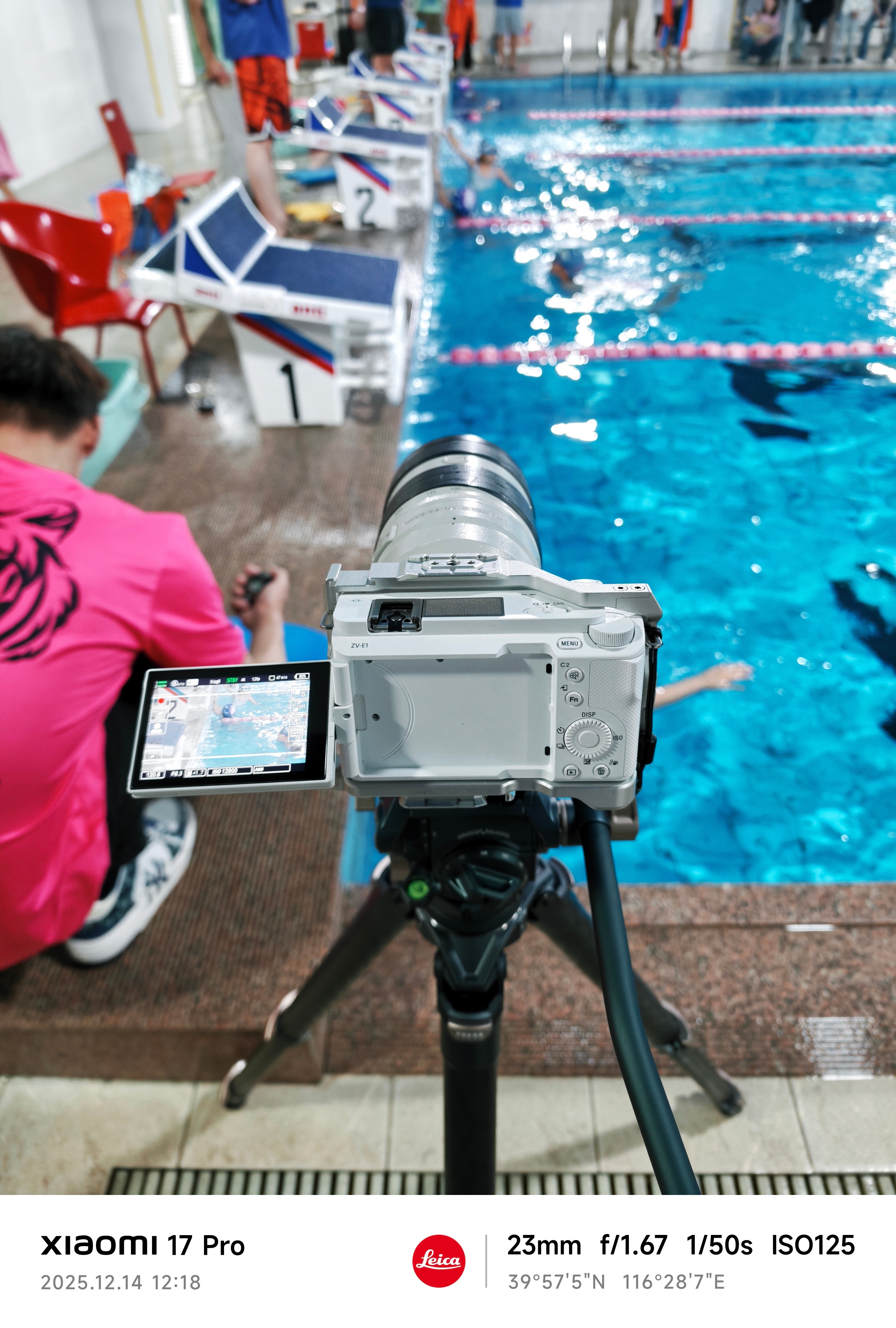 记录一下张小苗第一次游泳比赛我这个职业技能的好处就是孩子的成长过程全都有影像资料