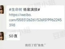 刷到有营销号跟艺人讨薪，就是替艺人转发新剧啥的，有聊天记录爆出了杨紫的《生命树》