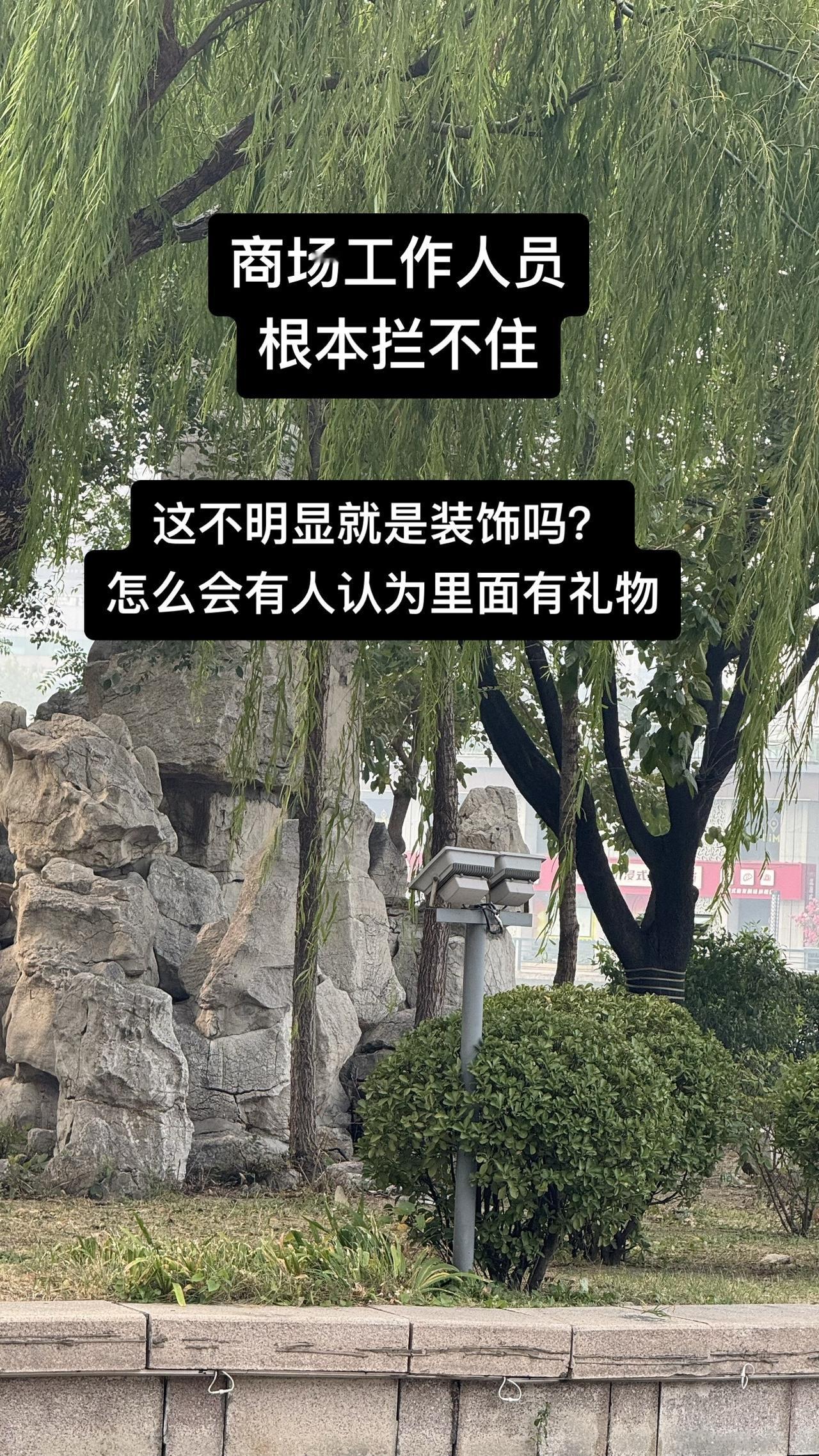 太原一商场圣诞装饰遭顾客哄抢
