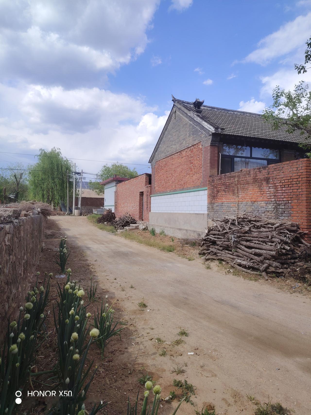 春日生活打卡季蓝色的天空中飘着洁白的云朵，这景象真是美不胜收！