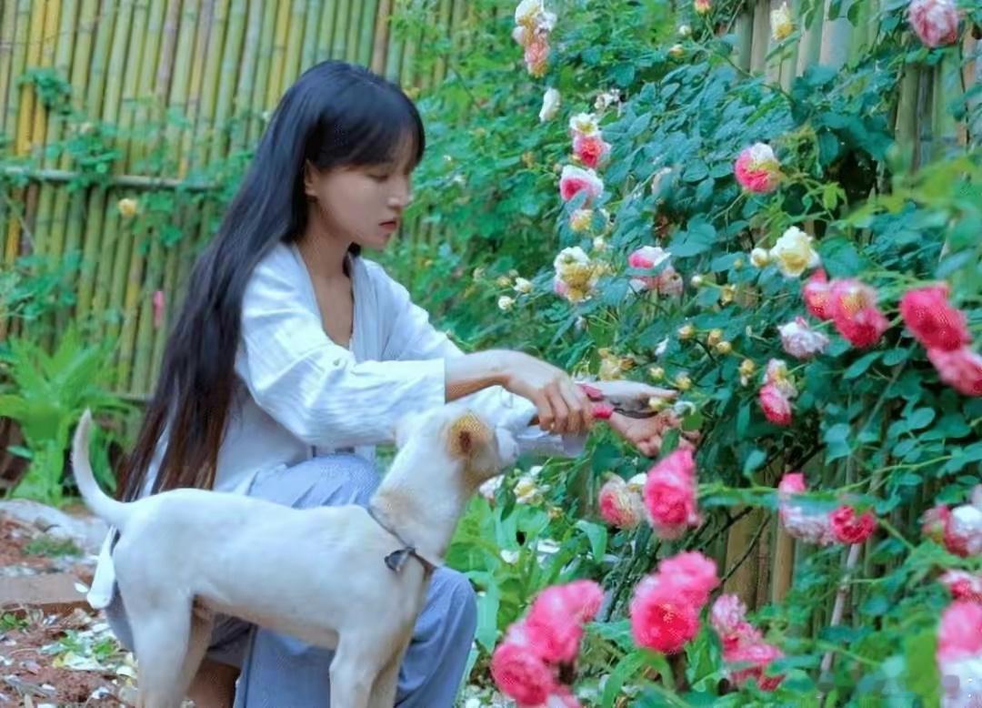 李子柒师傅谈李子柒艰辛三年 谈及李子柒，王法万师傅赞不绝口：“她的艰辛从不对外说