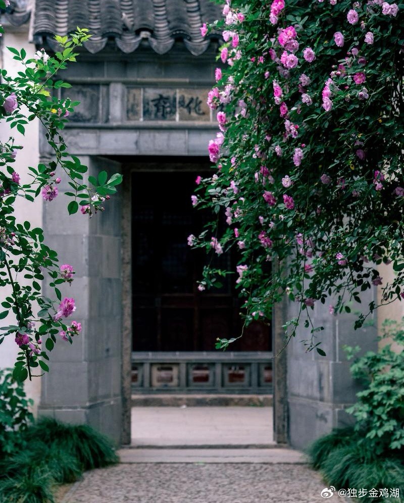 心里话         学会看淡，生命才能恬淡自在；学会看透，世界才能明澈清晰；