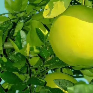 每日一善‎每日一善 阳光信用 善良是一束美丽的玫瑰，当你赠送他人时，也为你自己留