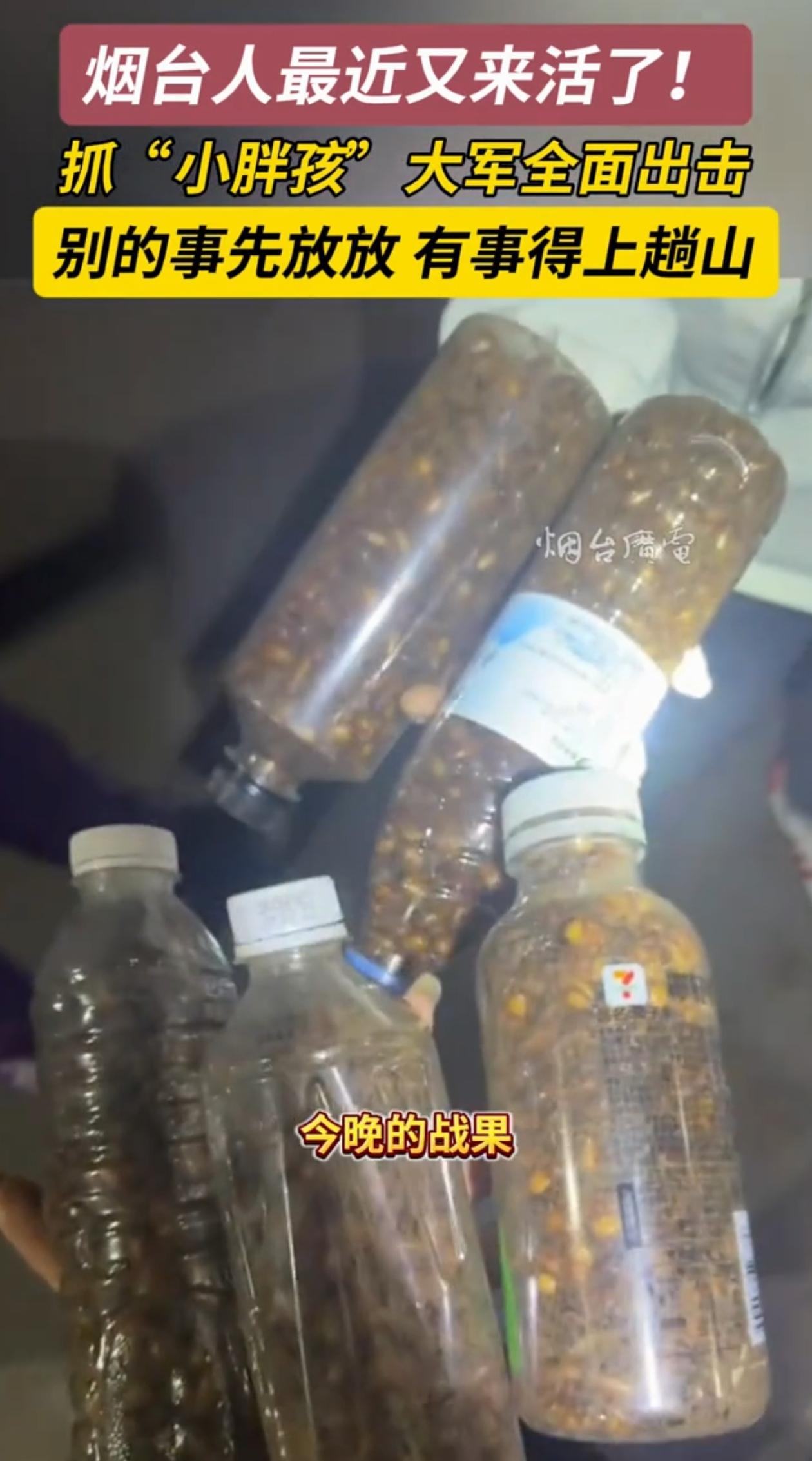 不服不行！山东烟台，不少人把车开到山脚，还带了一堆工具，也不上山，就在那等天黑，