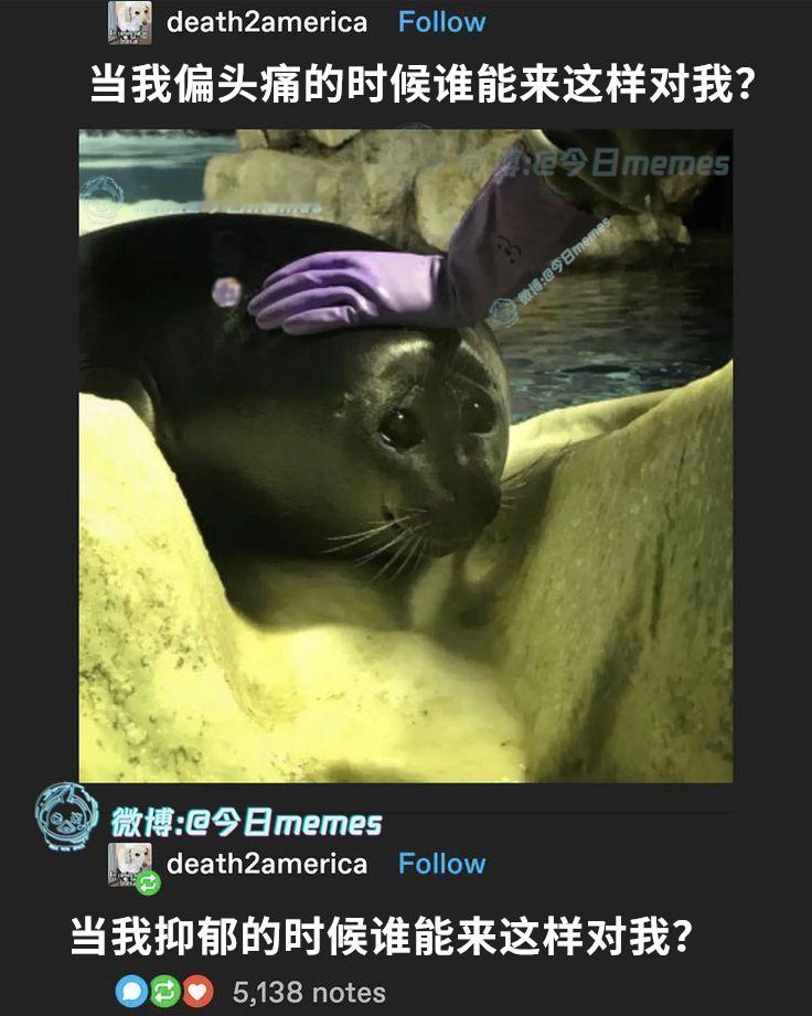 镇！（death2america）今日meme今日memes