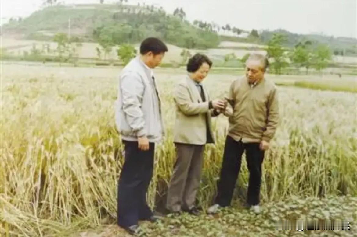 1989年10月，杨汝岱同志深入四川农村考察粮食生产情况的真实场景。杨汝岱同志在
