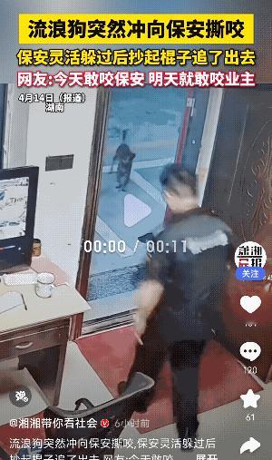 “太危险了！”湖南，一只流浪狗突然冲向小区保安撕咬，还好保安比较灵活，躲过后，拿