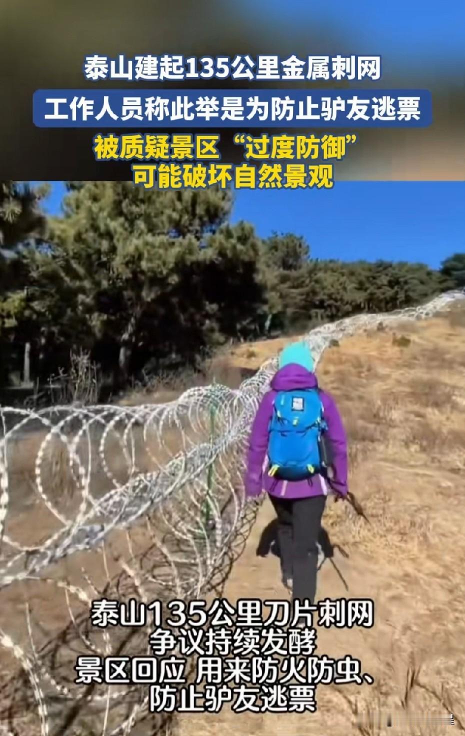 投资2000万泰山装网，文旅官方解释是为防火等原因才架设刀片刺网
 
近日，泰山