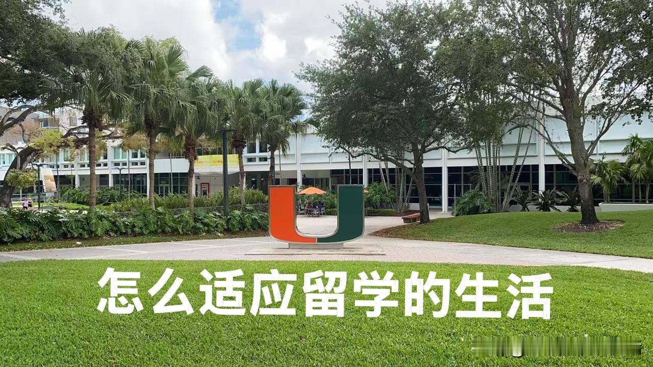 孩子们刚出去那阵儿，不适应，这太正常了。
你别看有的人朋友圈发得挺热闹，今天吃西