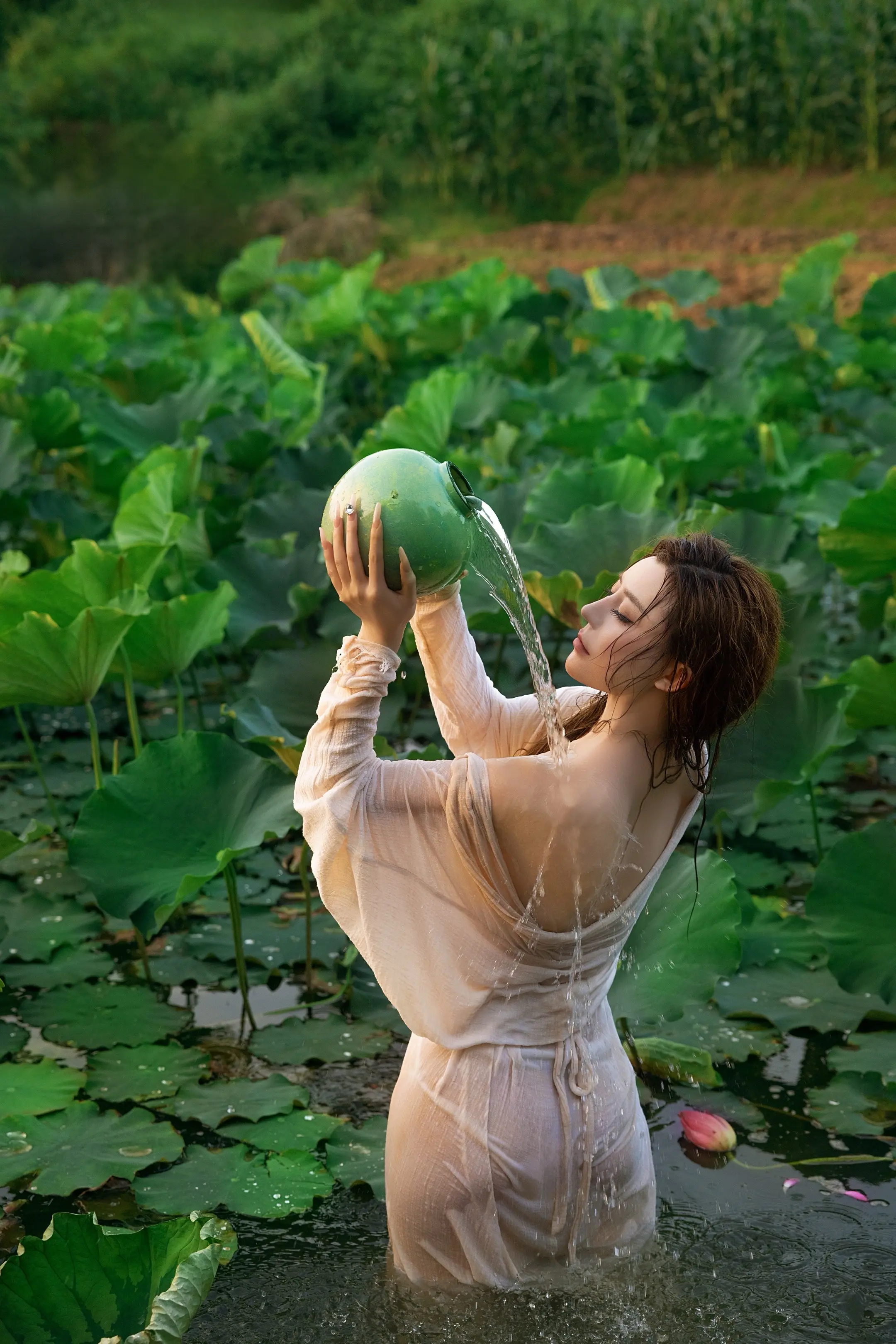 夏荷