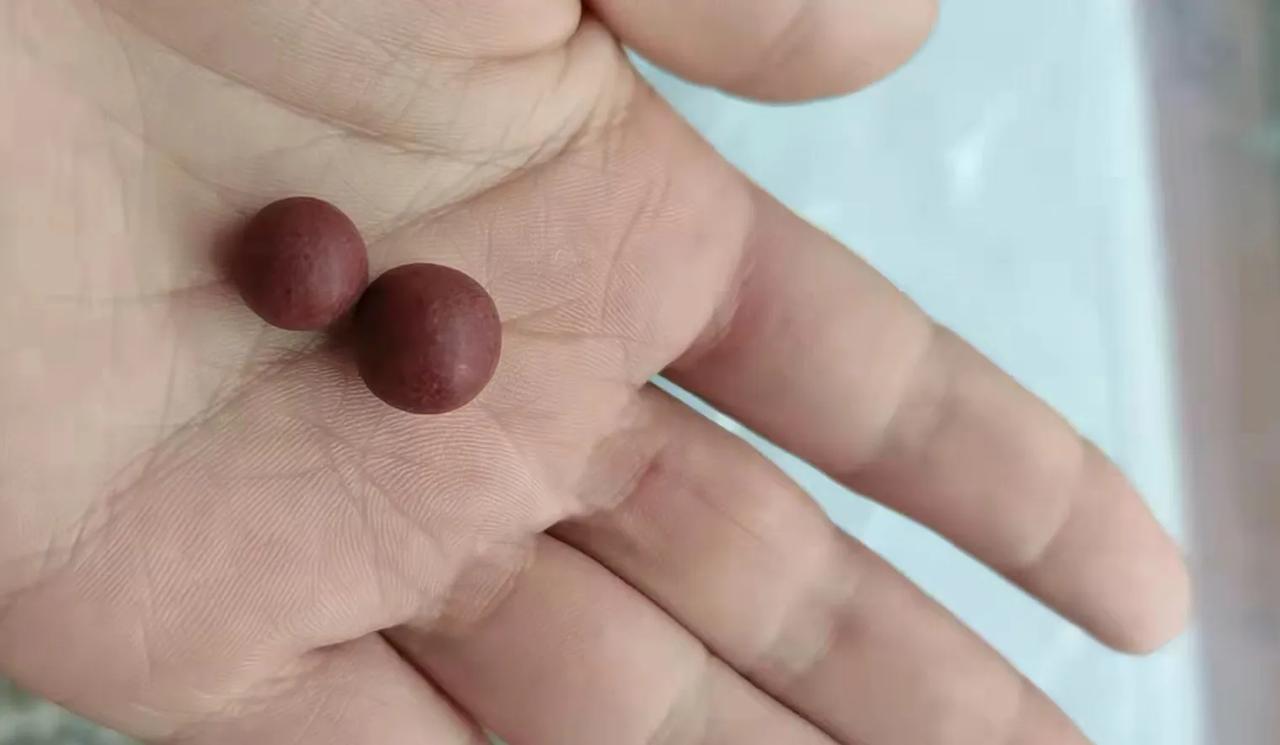 治高血压效方——屡用屡爽，得之我幸，分享于众。

【组成】夏枯草、龙胆草、炒栀子
