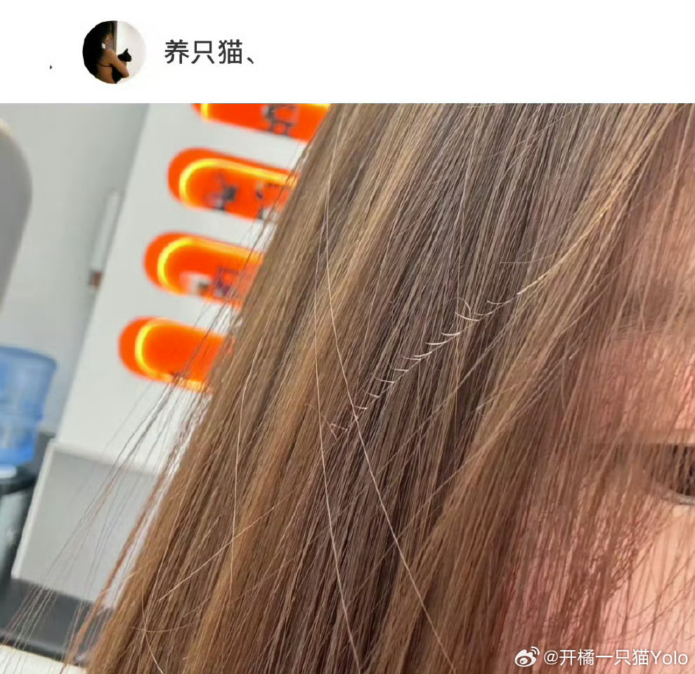 原来一根头发可以分叉这么多我的天啊我鸡皮疙瘩都起来了。 ​​​