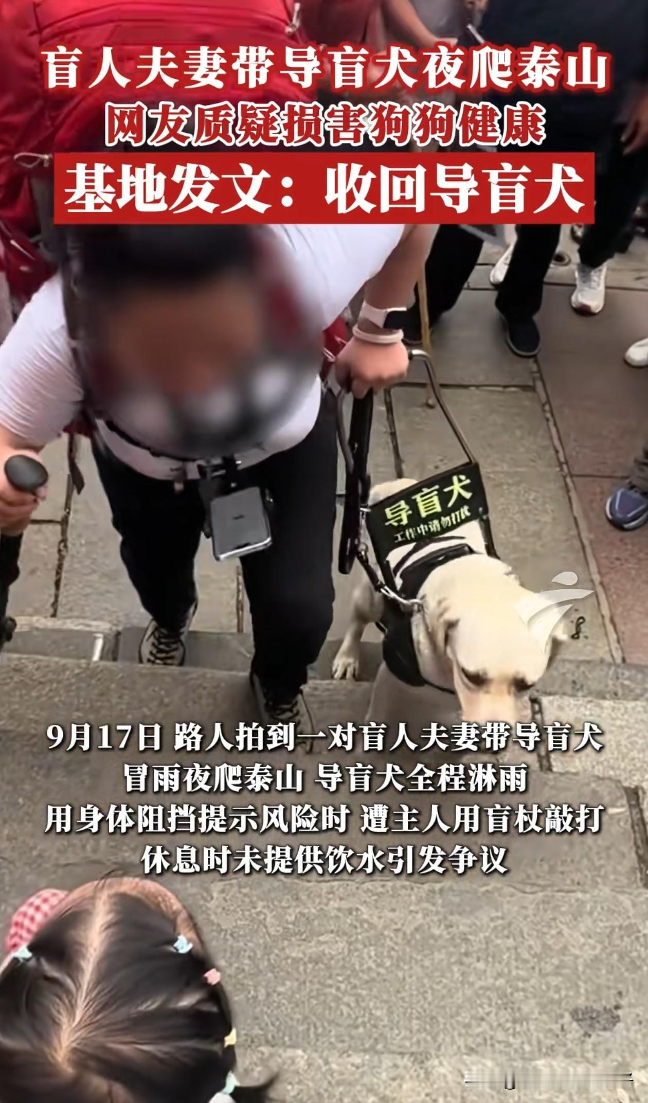 盲人夫妻带导盲犬夜爬泰山后续！9月18日，导盲犬培训基地发文，决定收回该夫妻对“