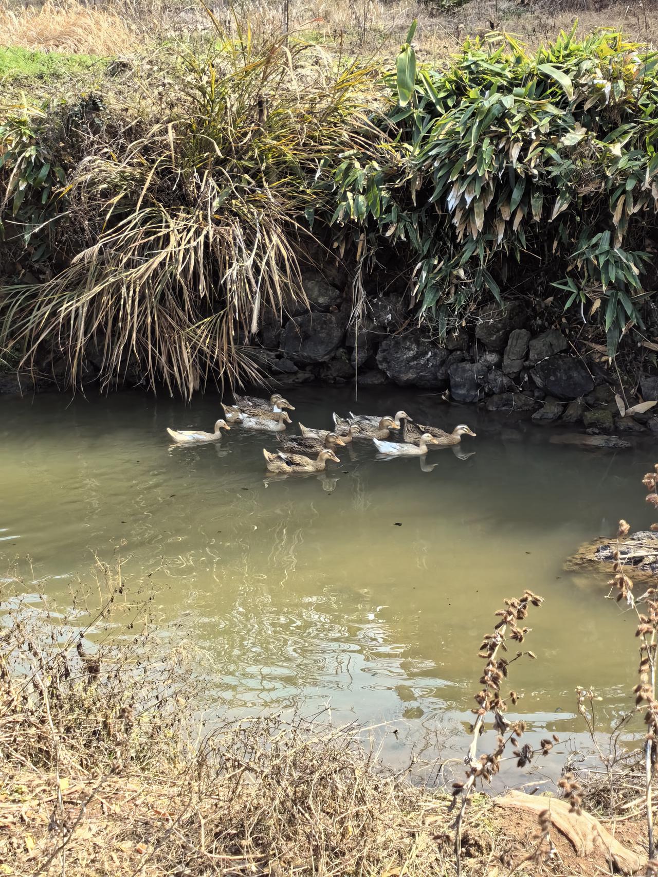 生活里，依靠自己还是依靠别人，这真是个让人纠结的问题。靠自己，就像独自攀登高峰，