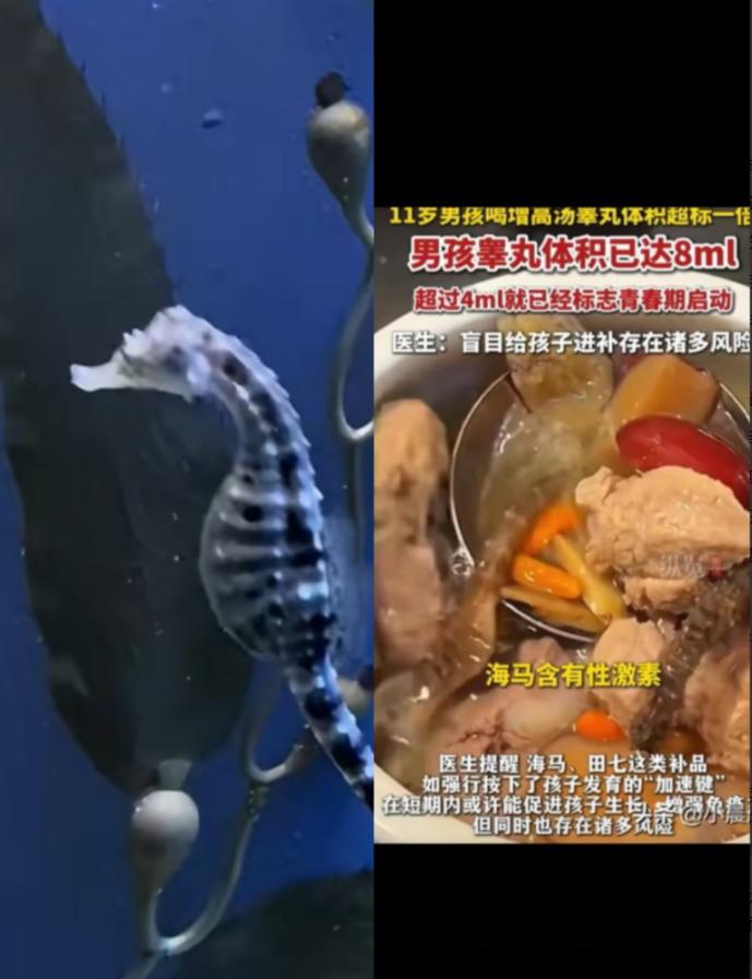 广东佛山一位妈妈，天天给11岁儿子熬海马田七汤，只为让儿子长高一些，结果喝了一个