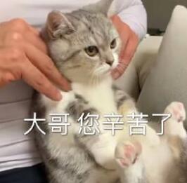 得亏我们首发大中锋是哈里凯恩，谢谢凯恩爸爸，让我绝大部分时间心情都是很美好的