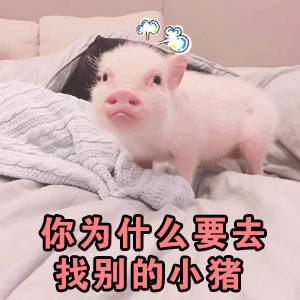 #猪牛羊肉为2A类致癌物# 小猪🐷：所以大家过年不要吃我了？ ​​​