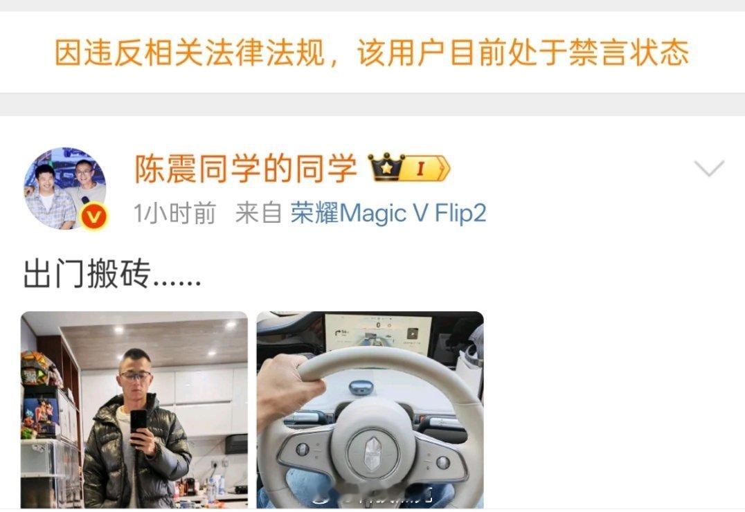 我去，这么严重啊，陈震小号一小时前还在发微博，现在也没了陈震回应被全平台禁言