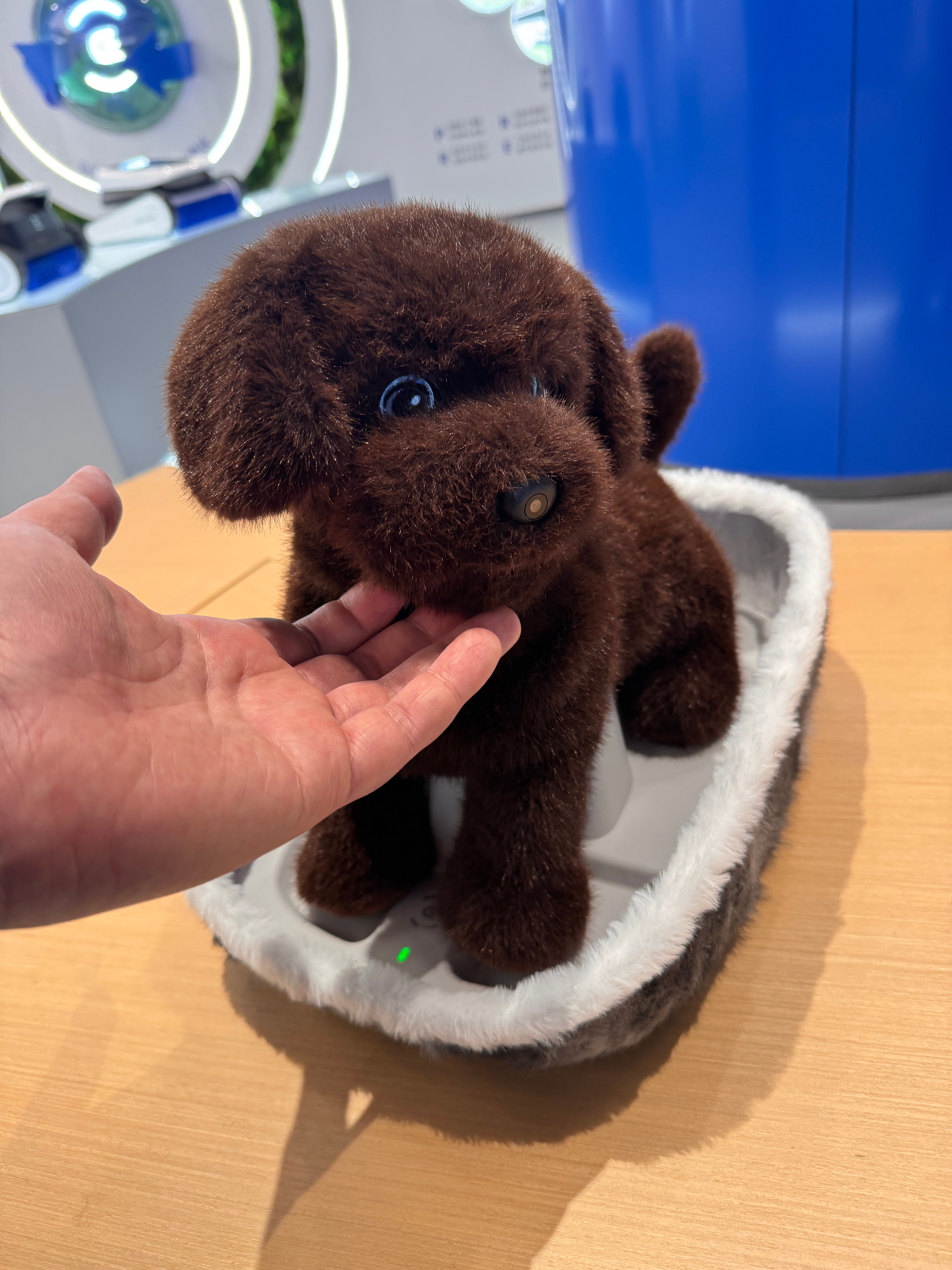 聪明的产品设计，把摄像头集成在鼻子上，融合度很高 苏州·科沃斯机器人研发中心