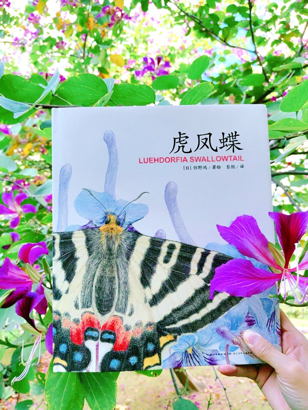 一曲生命礼赞，不只是绘本那么简单！