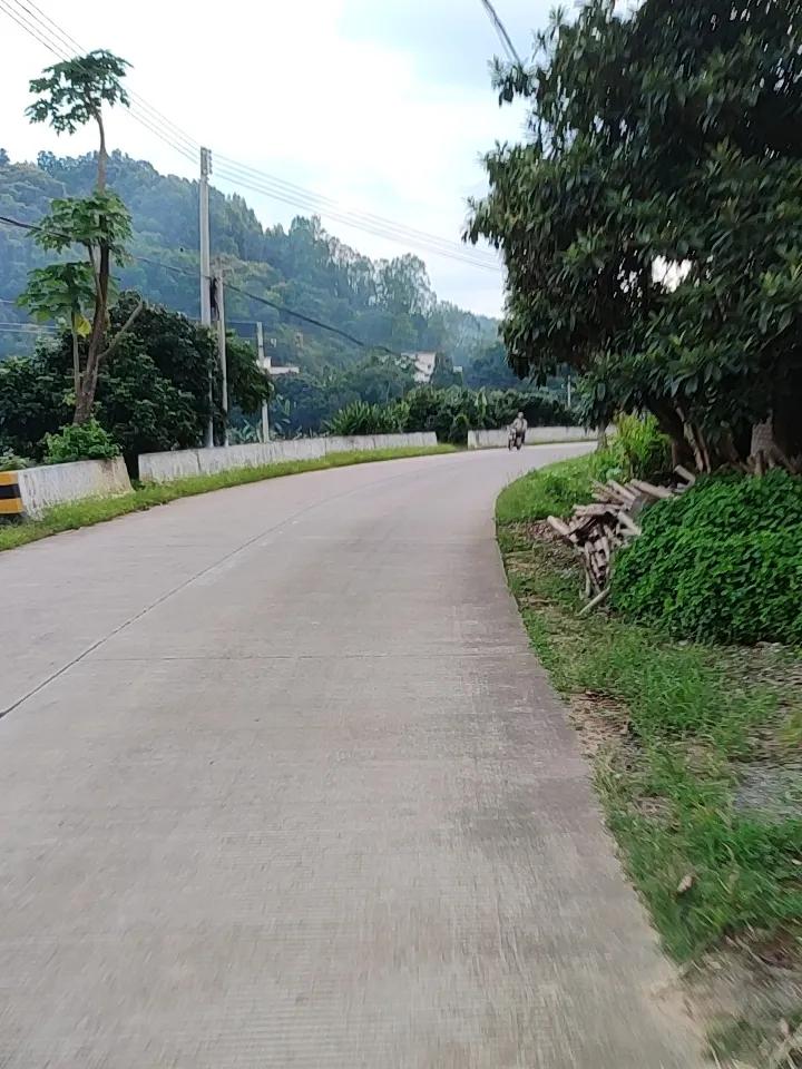 我家乡是银川，这里的街道太有魅力了。
白天，街道干净整洁，孩子们在绿草地上嬉笑玩