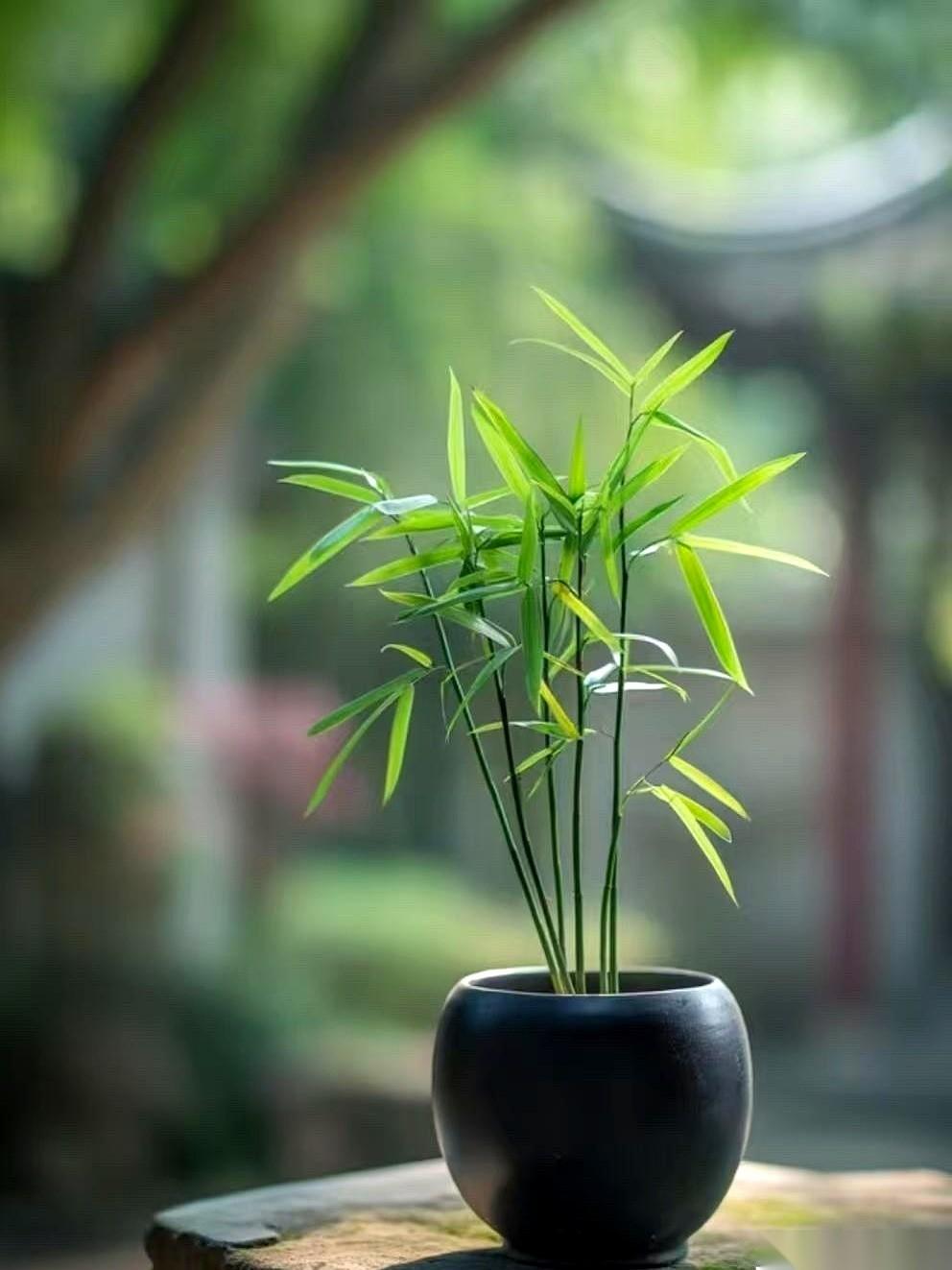 有人一拍桌子，把话挑明了。
他说，孩子学的英语，95%的内容，毕业那天就作废了。