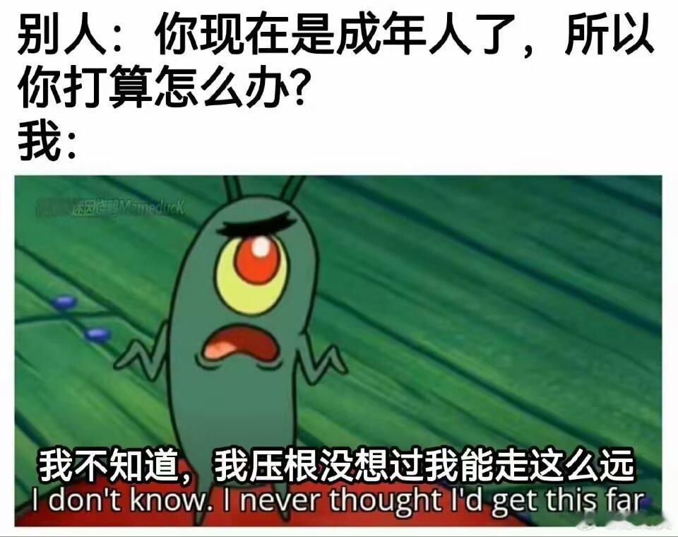 一点了没睡的人在干嘛 