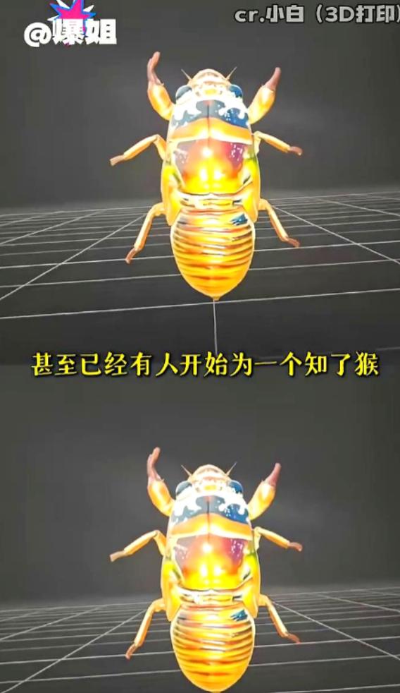 山东逮知了猴的当地人近期怕是要心态炸裂，百般算计，怎么也没料到会遇上一身硬核装备