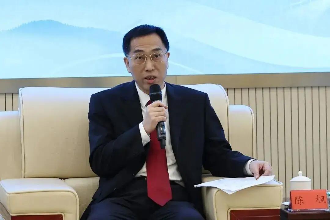 法学专家陈枫提了个建议，捅了马蜂窝。他说，外国人拿留学、工作签证来中国，在机场就