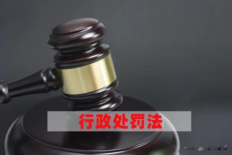 女子钻法律空子4次怀孕逃避服刑 司法善意遭恶意利用

这个案例暴露出监外执行制度