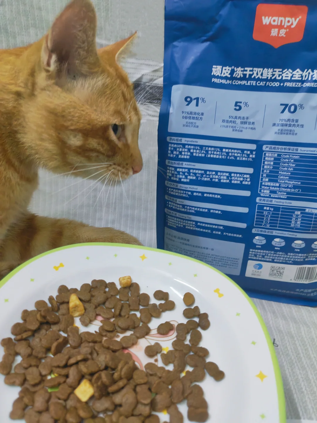 🐱一日之计在于吃
