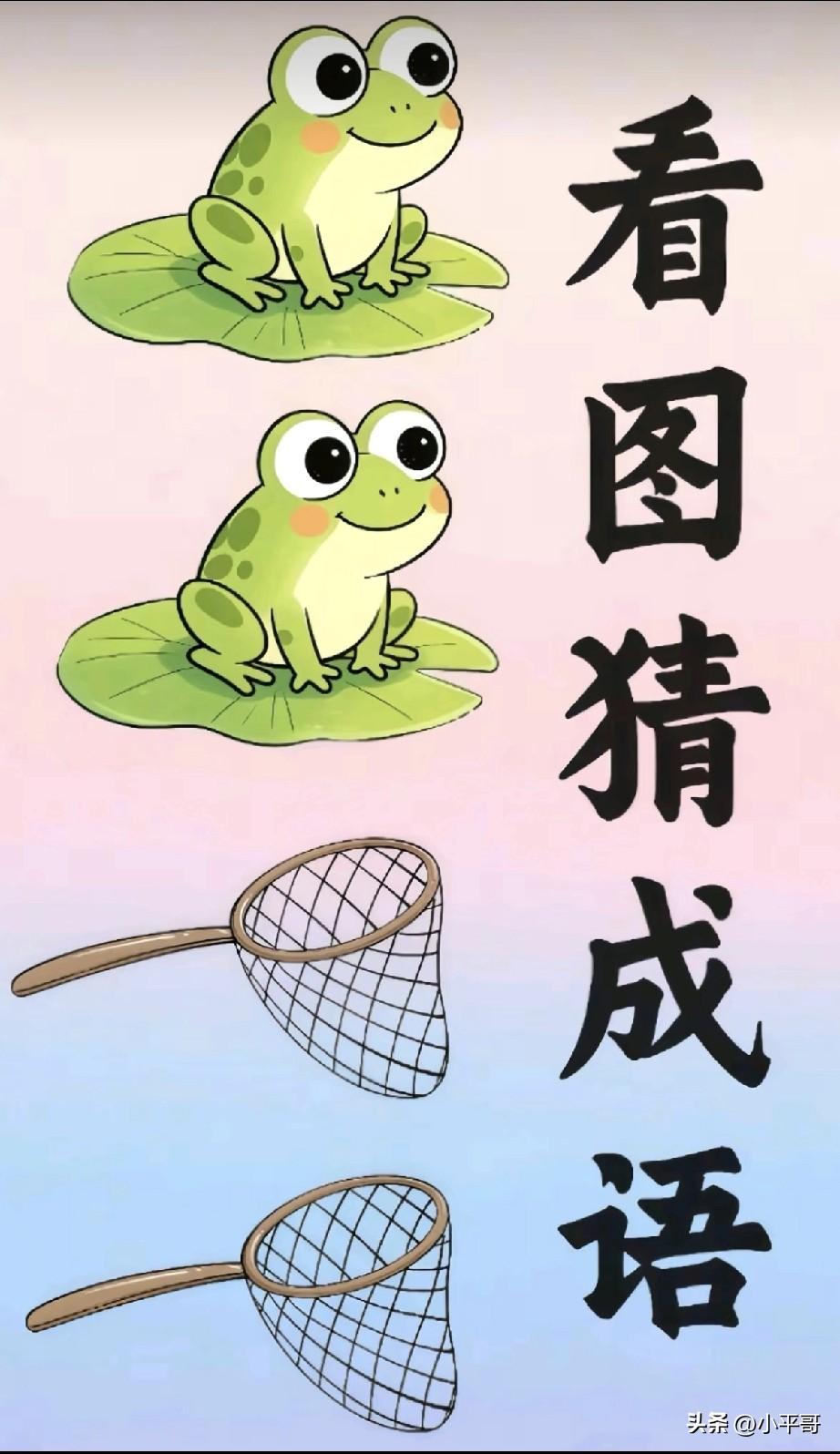 青蛙+网兜，猜猜这是什么成语？
