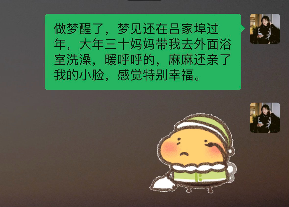 那时候村里放烟花爆竹没有任何禁忌，村里的小孩子聚得也全，一到年三十满天空噼里啪啦