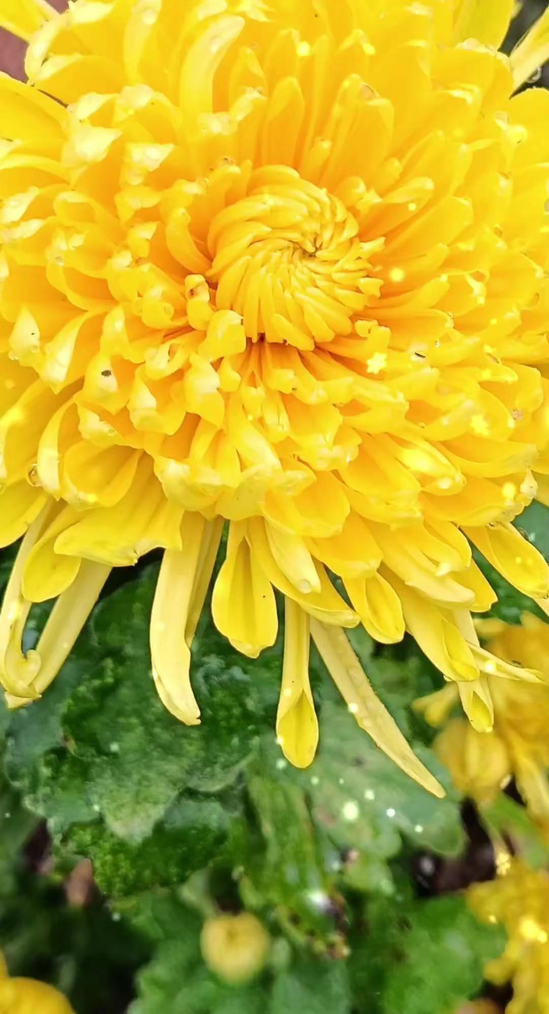 以为生活会温柔以待，以为生活会来日方长，然而现实却如此艰难与不堪。