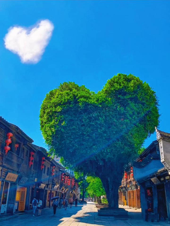 其实我更喜欢好多年前的自己，她比我有胆量，比我遗憾少，比我懂得少，比我相信的更多