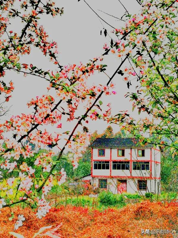 《春望》乐韵诗心原创诗词:
十里烟堤柳色匀，
夭桃照影燕声频。
东君未许芳菲尽，