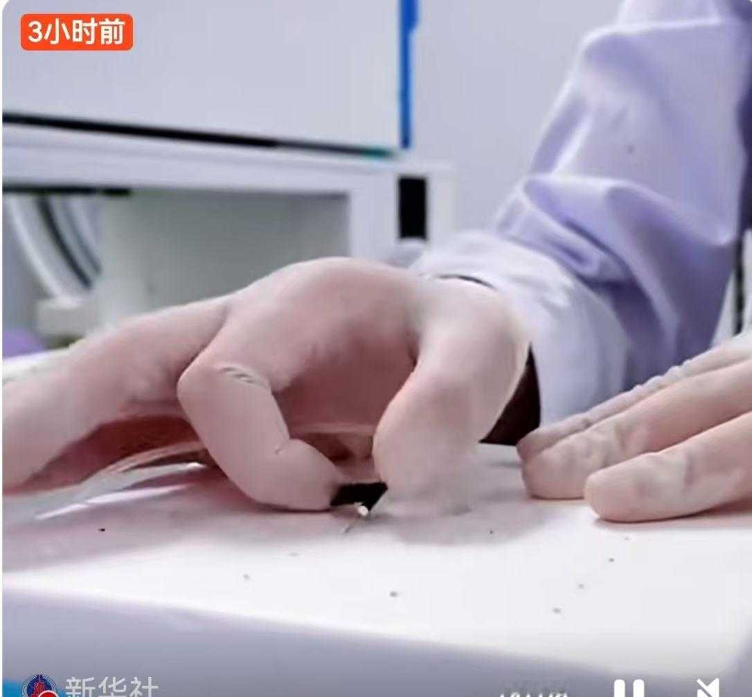 去医院抽血，不少人都有过捂着胳膊不敢看的经历。近日，兰州大学第二医院门诊护士杨楠