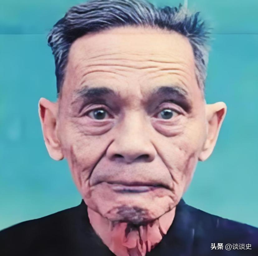 1988年12月，71岁的谢汉光持台湾身份证回到广东丰顺采芝村。证件上“叶依奎”